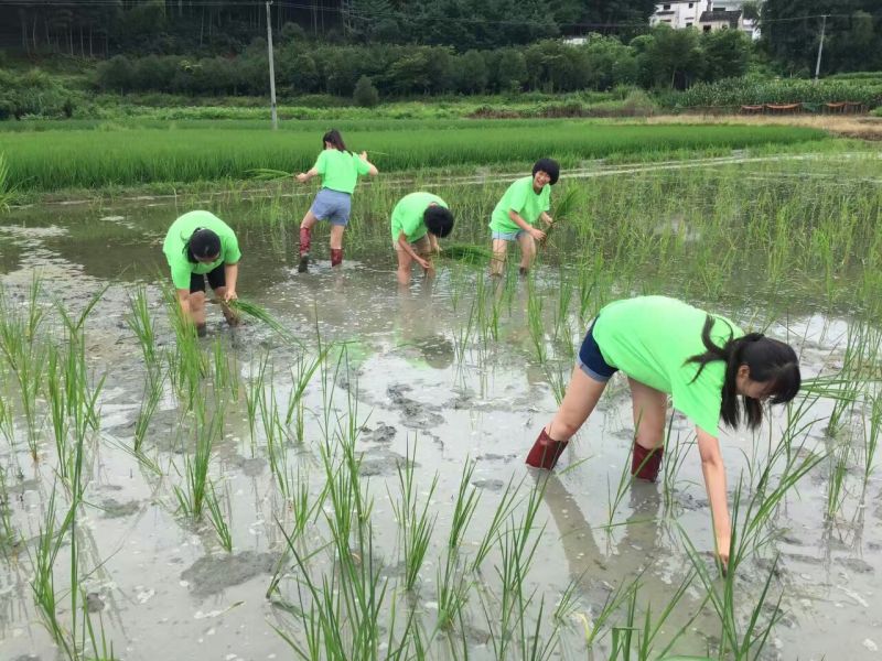 徽州研学夏令营（5日）